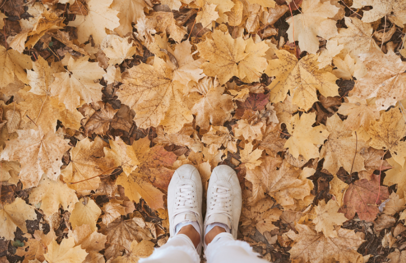 7 idee per un autunno mindfulness